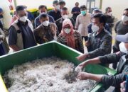 Setahun Digagas, Program Plastic Smart City Memperlihatkan Hasil