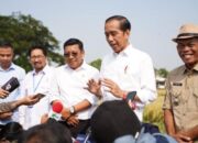 Presiden: Panen Raya Di Subang Diharapkan Tambah Cadangan Beras