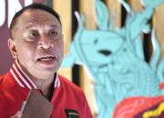 Kualitas Rumput JIS, PSSI: Tak Ada Komplain Peserta Piala Dunia U-17 Soal Venue