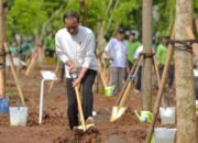 Presiden Jokowi Tanam Pohon Bersama di Pulo Gadung