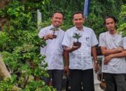 Segera Hadir, Bonsai Benteng Piala Wali Kota Tangerang