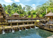 Ubud Raih Status Percontohan Wisata Gastronomi Dunia