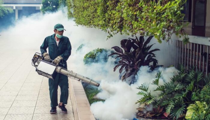 7 Tips Agar Terhindar dari DBD, Bisa Dilakukan Dilingkungan Sekitar