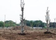 Dukung Jakarta Global City, Dharma Jaya Bakal Bangun Ecopark di Cakung