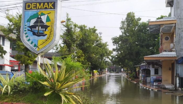 6 Tanggul Jebol, Ribuan Jiwa Terdampak Akibat Banjir Jawa Tengah