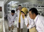 Peluncuran Program Petani Milenial Kaltim: Dukung Ketahanan Pangan di IKN