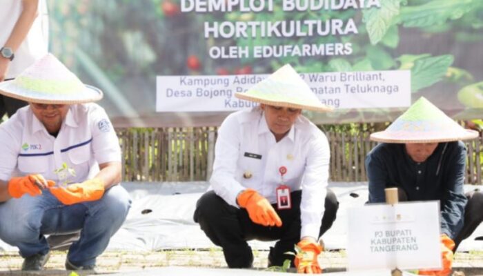 Penjabat Bupati Tangerang Ajak Milenial Bergeluti Project Demplot Budidaya Hortikultura di Desa Bojong Renged
