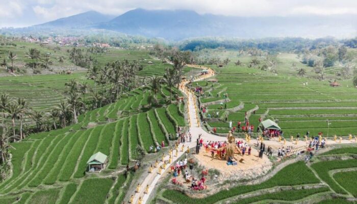 Jatiluwih Bali: Destinasi World Water Forum ke-10 dan Keindahan Pariwisata Berkelanjutan