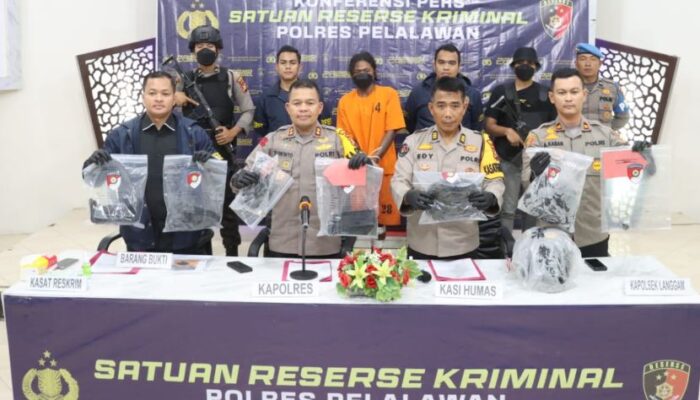 Gabungan Satreskrim Polres Pelalawan Ungkap Penemuan Mayat Johan di Kebun Kelapa Sawit