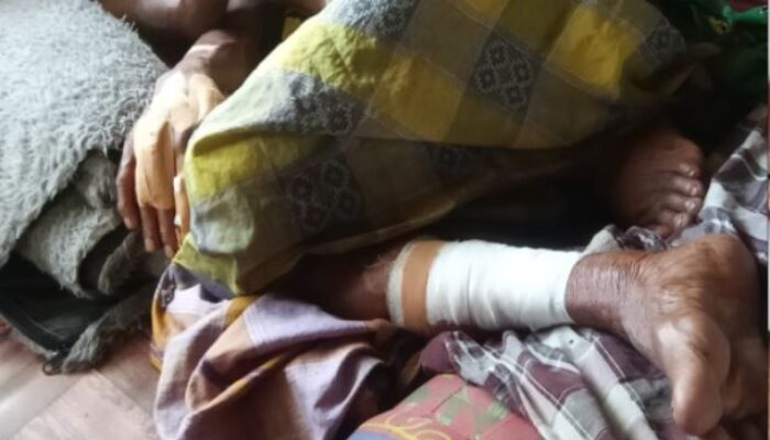 Saat Ambil Air Wudhu, Pria Paruh Baya Warga Desa Tanjung Saleh Diserang Buaya Muara