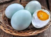 Manfaat Telur Bebek untuk Kesehatan