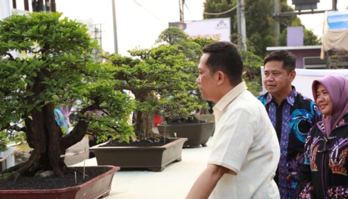 Pj Bupati Tangerang Buka Tabo Fest 2024: Dorong Ekonomi Kreatif Bonsai