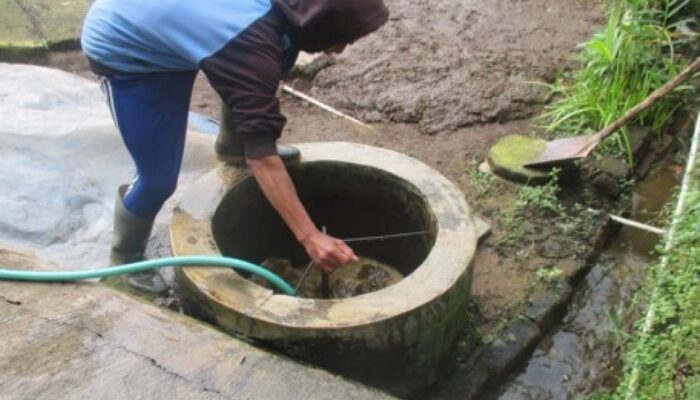 Kelola Limbah Kotoran Sapi Jadi biomassa atau Biogas