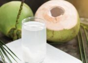 Segudang Manfaat Air Kelapa untuk Tubuh