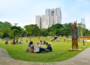 Ini Dia Rekomendasi Tempat Piknik Sore di Indonesia yang Kece!