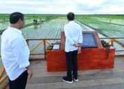 Presiden Jokowi Tinjau Teknologi Drone untuk Pertanian Pintar di Merauke