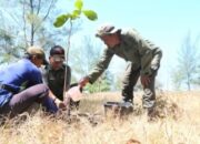 Pantai Mbah Drajid, Dari Pesisir Tandus Menjadi Destinasi Wisata Asri
