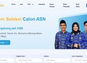 Cara Mendaftar PPPK 2024 di SSCASN BKN, Panduan Lengkap dan Tips Sukses Mendaftar