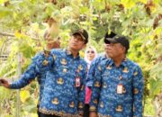 Inovasi Pertanian: Pj Bupati Tangerang Andi Ony Kunjungi Proyek Hidroponik