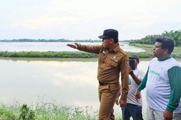 Bima Arya Sugiarto Minta Pemda Segera Normalisasi Irigasi untuk Dukung Swasembada Pangan
