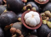 Manggis Si “Ratu Buah” yang Kaya Manfaat, tetapi Perhatikan Cara Konsumsinya