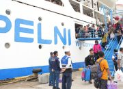 Rute Terbaru Kapal PELNI 2025