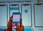 Simak! Begini Cara Cek dan Pakai Diskon PLN 50 Persen