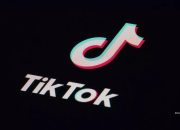 TikTok Didenda Rp162 Miliar Akibat Video Challenge Sebabkan Kematian Tiga Anak