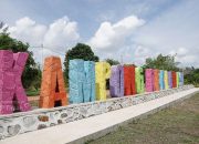 PT Timah Tbk Reklamasi Lahan Bekas Tambang