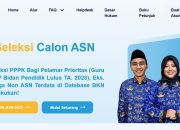 Pengumuman Hasil Seleksi Administrasi PPPK 2024 Tahap 2: Jadwal dan Prosedur Lengkap