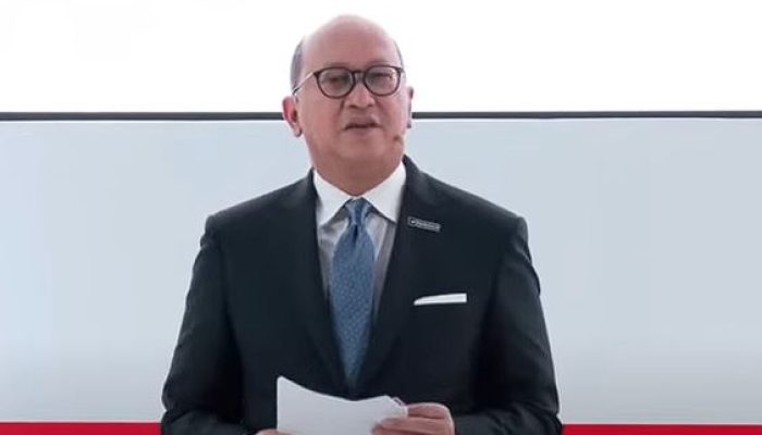 CEO Rosan Roeslani, Daftar Lengkap Struktur Pengurus Danantara