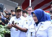 Rano Karno Pimpin Panen Raya Serentak Jakarta: Hasil Panen 20 Ton Pangan dari 266 Titik di Jakarta