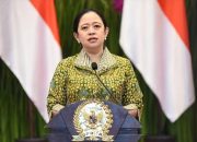 Mundur Massal! 1.967 CPNS 2024 Bikin Puan Desak Reformasi Rekrutmen ASN