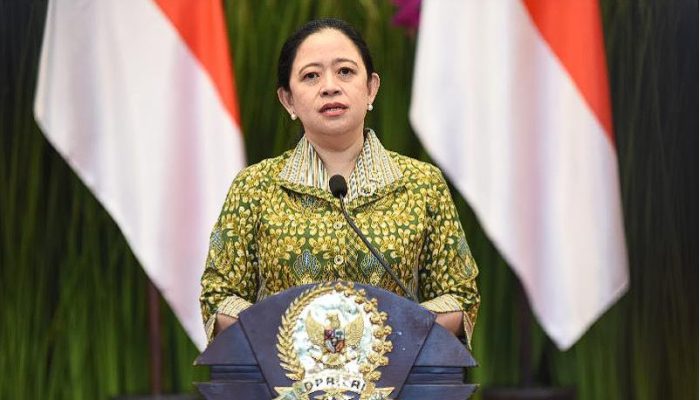 Mundur Massal! 1.967 CPNS 2024 Bikin Puan Desak Reformasi Rekrutmen ASN