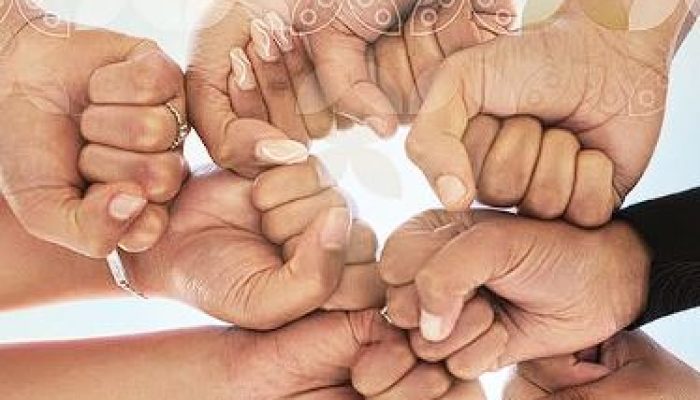 Aplikasi Nusantara Diluncurkan! DPR RI Kini Punya Super App Canggih di Genggaman
