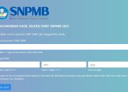 Hasil UTBK SNBT 2025 Resmi Keluar! Cek dan Unduh Sertifikat Sekarang!