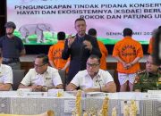 Terbongkar! Jaringan Perdagangan Gading Gajah di Jakarta & Sukabumi Lewat Medsos