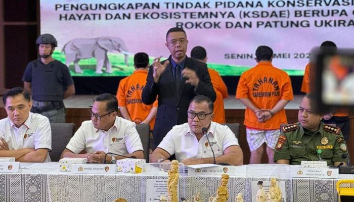 Terbongkar! Jaringan Perdagangan Gading Gajah di Jakarta & Sukabumi Lewat Medsos