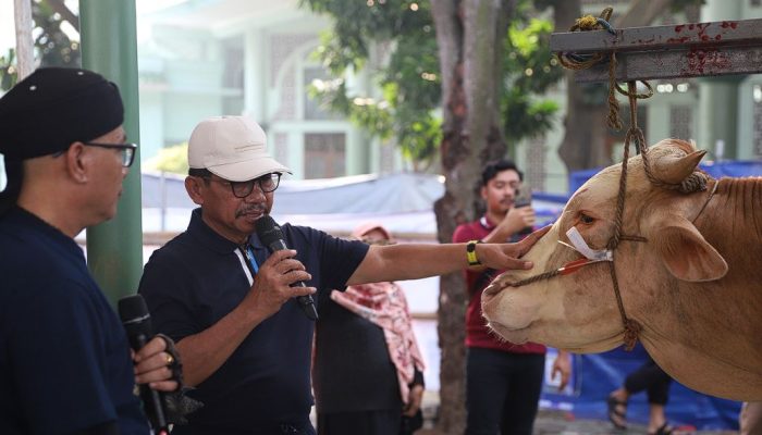 5.000 Paket Daging Dibagikan! Meriahnya Iduladha 1446 H di Masjid Raya Al-A’zhom Tangerang