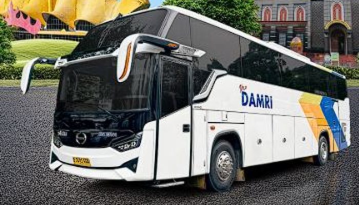 Diskon Tiket DAMRI Rp45.000! Mudik Iduladha Jadi Lebih Hemat & Nyaman!
