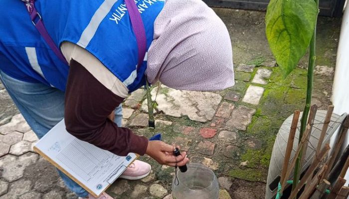 487 Kasus DBD Terjadi di Tangsel Menjelang Musim Hujan, Dinkes Imbau Masyarakat Waspada