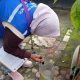 487 Kasus DBD Terjadi di Tangsel Menjelang Musim Hujan, Dinkes Imbau Masyarakat Waspada