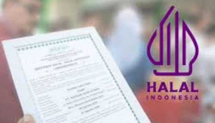 Cara Daftar Sertifikat Halal Gratis! UMKM Kini Gampang Dapatkan Legalitas Tanpa Biaya