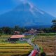 Lumajang Gaspol Bangun Wisata! Ranu Kumbolo & Semeru Siap Sambut Dunia