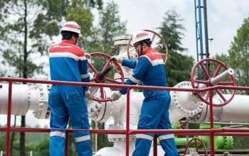 Bukan Sekadar Energi Hijau! Ini Jurus Rahasia Pertamina NRE Tekan Emisi Industri