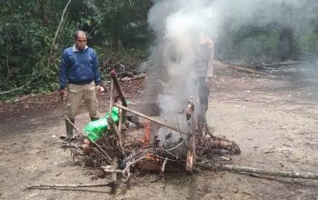 Lokasi Judi Sabung Ayam di Sekadau Digerebek Polisi, Arena Dibakar