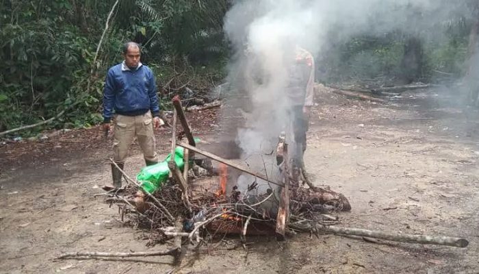 Lokasi Judi Sabung Ayam di Sekadau Digerebek Polisi, Arena Dibakar