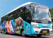 Banten Rayakan HUT ke-25 dengan 2.000 Rice Bowl & Bus Trans Baru, Berikut Jadwal Lengkapnya