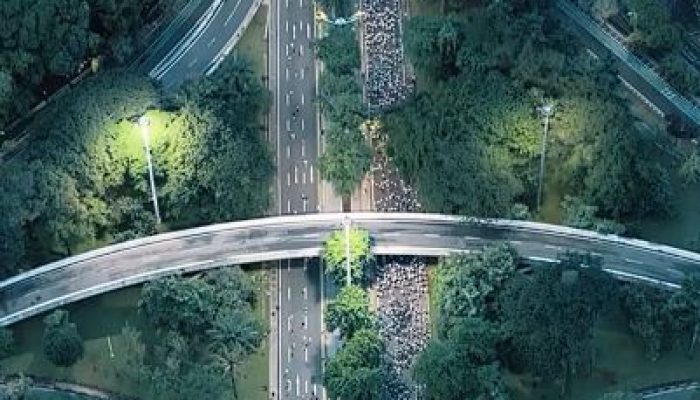Jakarta Running Festival 2025 Pecahkan Rekor, Targetkan Jadi Mayor Marathon Dunia