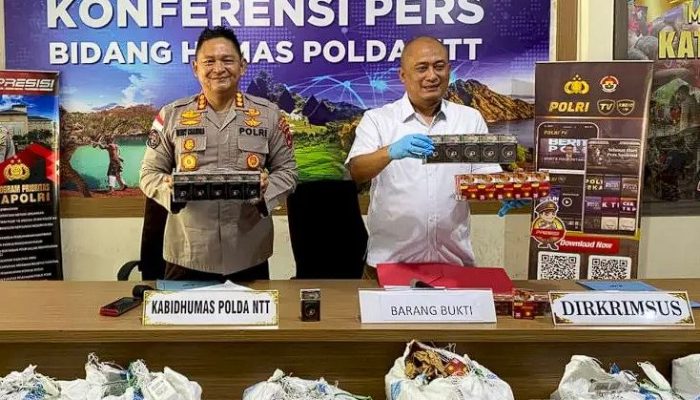 Polda NTT Bongkar Ribuan Rokok Ilegal di Flores, Satu Sales Jadi Dalang Utama
